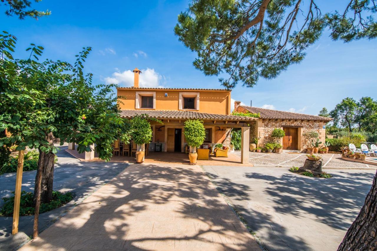 Landhuis Ideal Property Mallorca - Erika
