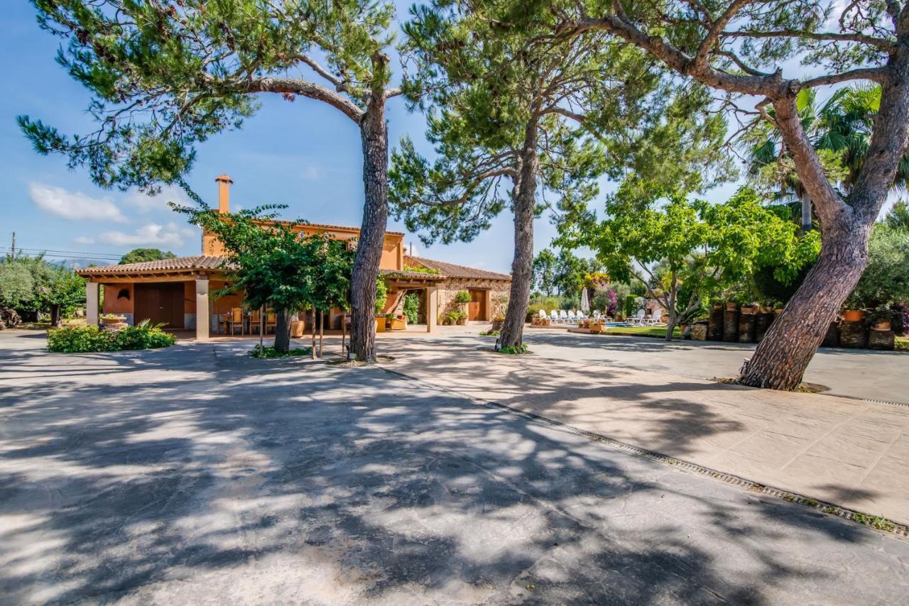 Ideal Property Mallorca - Erika Landhaus